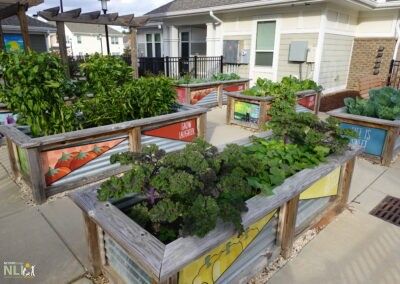 Design interventions at Washington Terrace (WT)